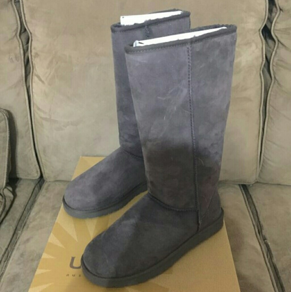 Brand new in box Tall Uggs